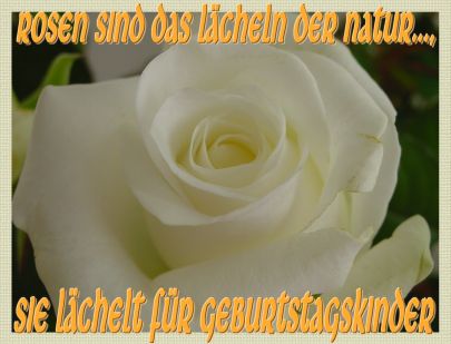 Geburtstagskarte 26