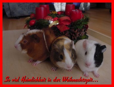 Weihnachtskarte 29