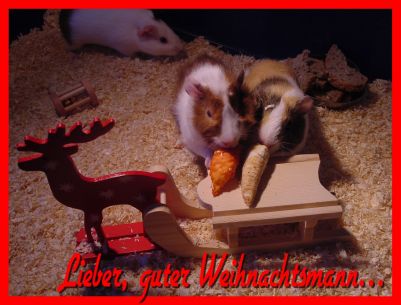 Weihnachtskarte 31