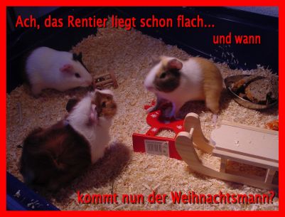 Weihnachtskarte 33