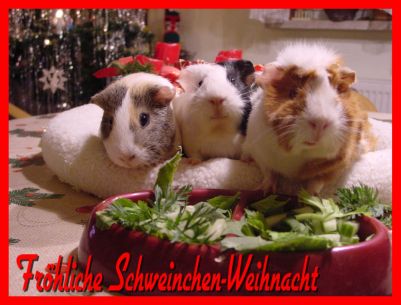 Weihnachtskarte 34