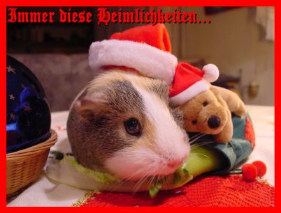 Weihnachtskarte 39