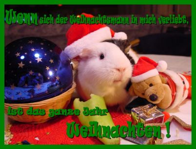 Weihnachts- &amp; Neujahrskarten von Martina und Wolfgang